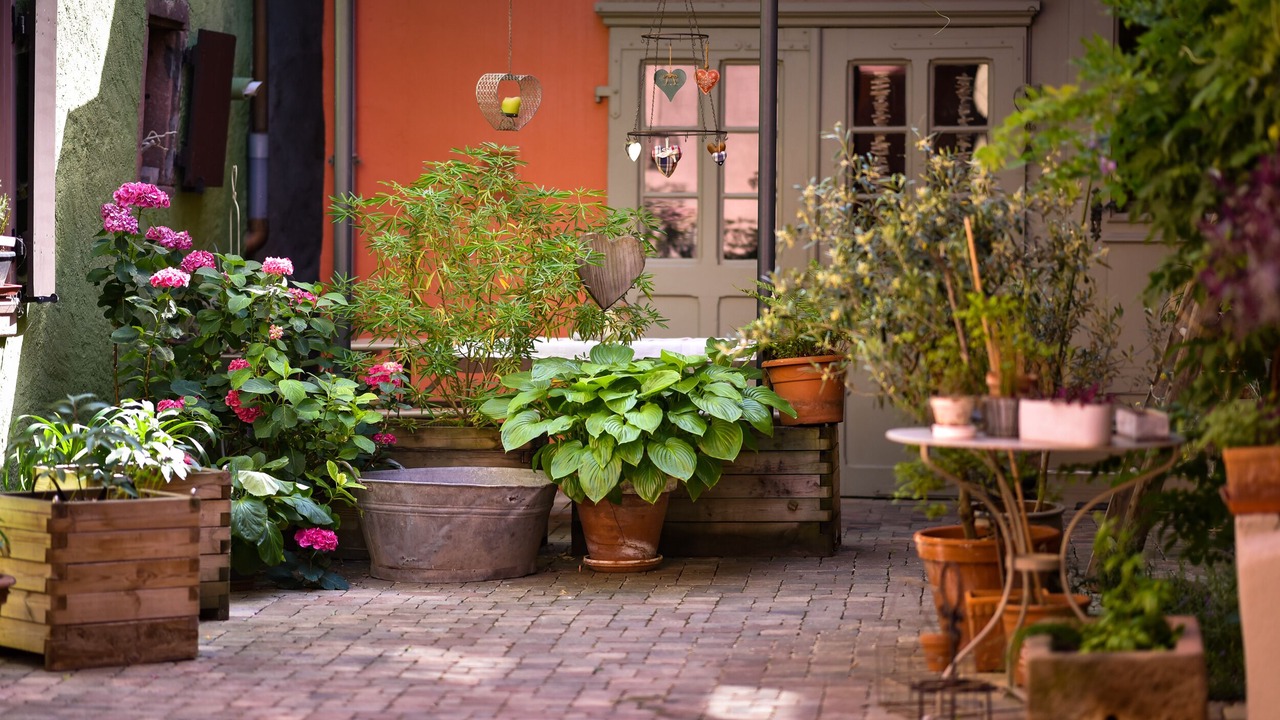 Photo of Patio Balcony in Ribeauville