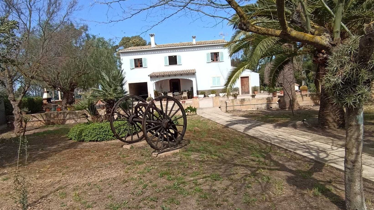 Photo of Others in l'Aranjassa