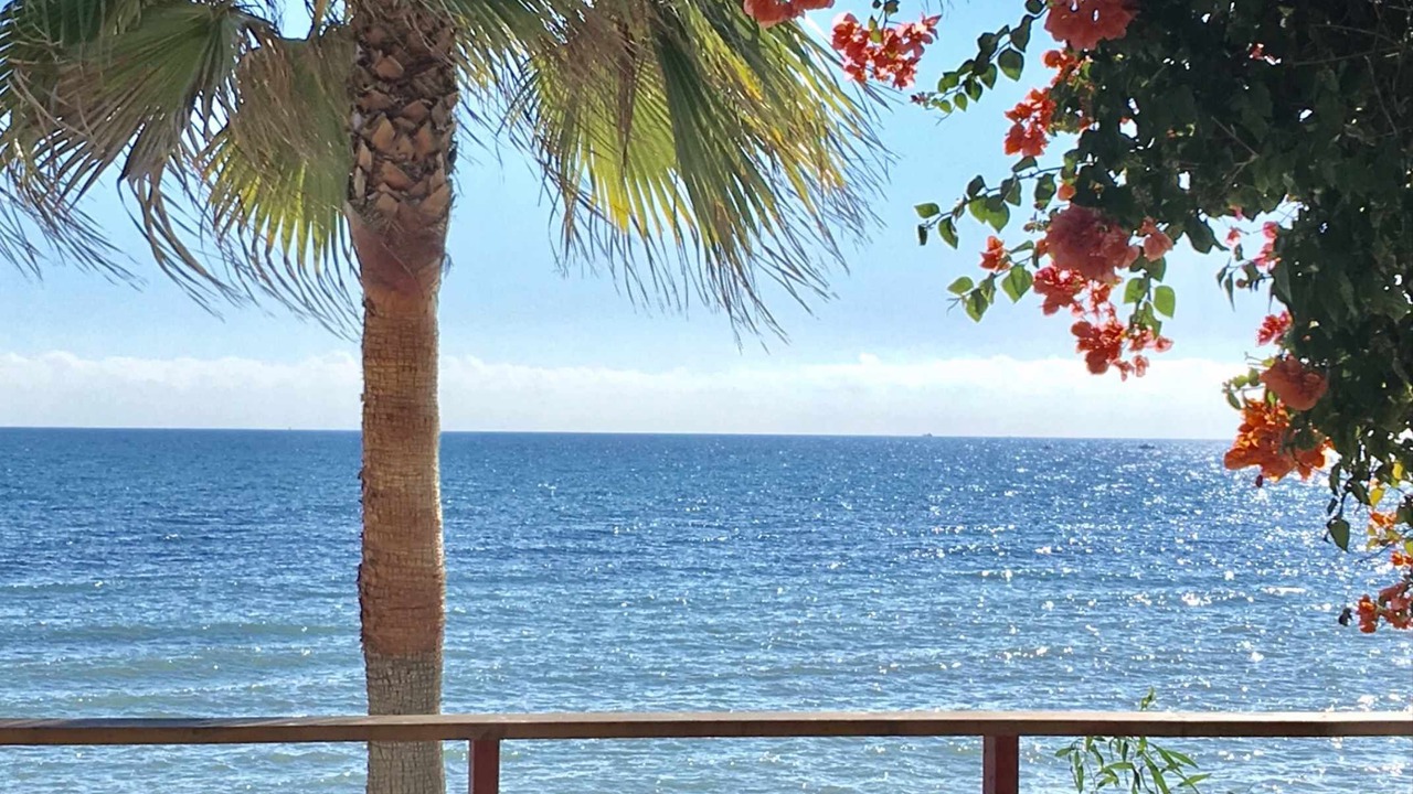 Photo of Others in Sitio de Calahonda