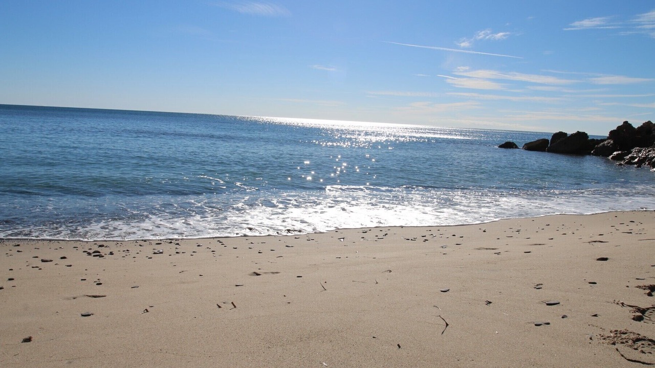 Photo of Others in Miami Platja
