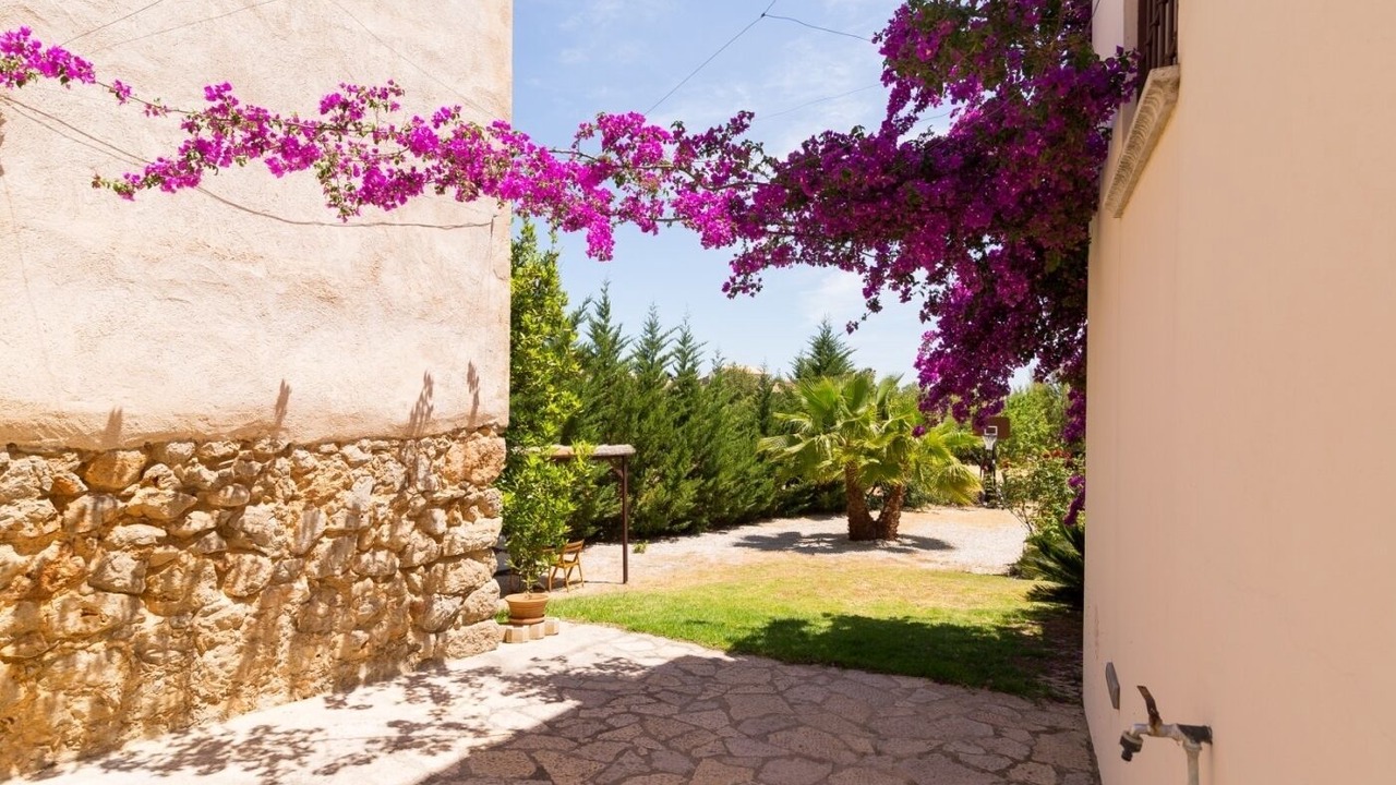 Photo of Outdoor in Selva