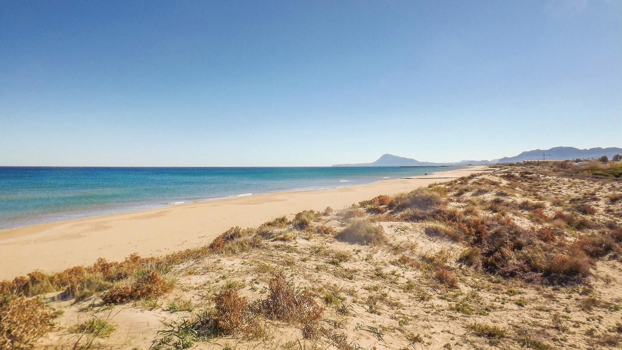 Photo of Others in Platja de Piles