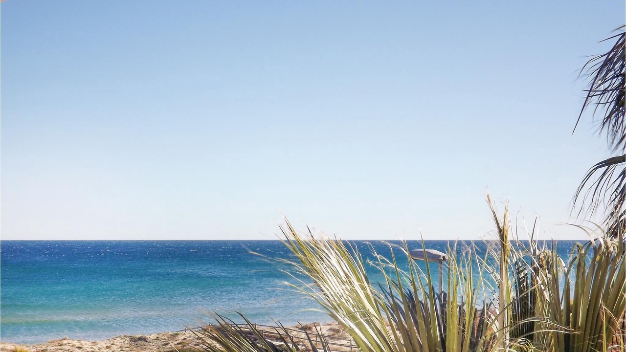 Photo of Bedroom in Platja de Piles
