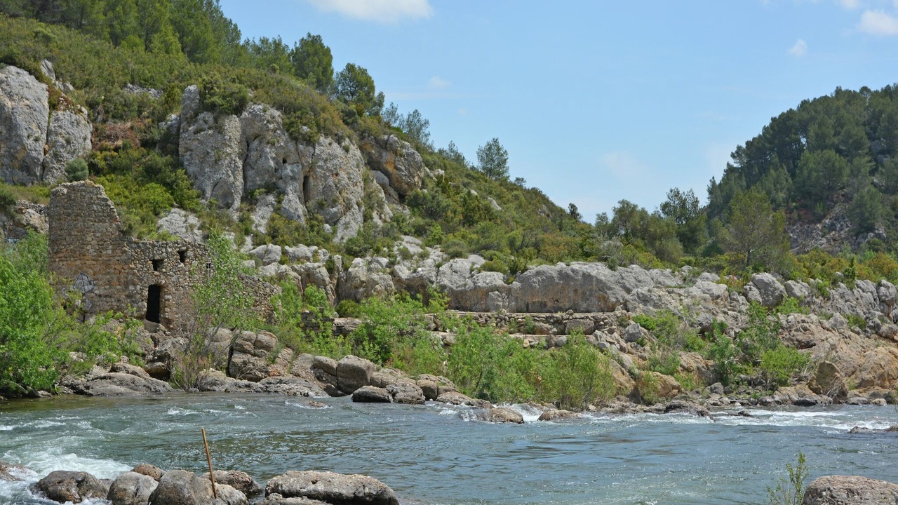 Photo of Others in Garrigues-Sainte-Eulalie