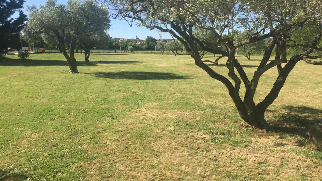 Photo of Others in Garrigues-Sainte-Eulalie