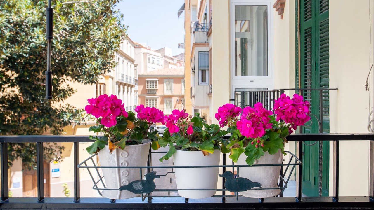 Photo of Outdoor in Centro