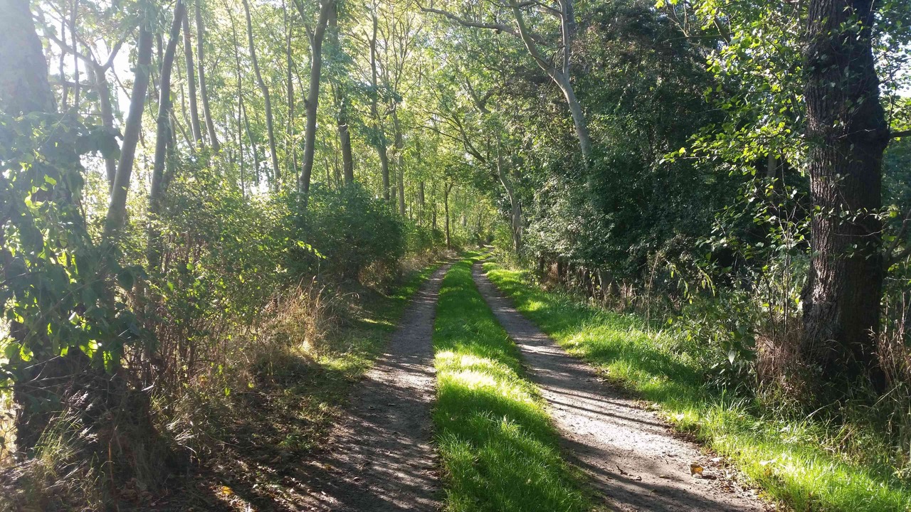Photo of Outdoor in Vitzdorf