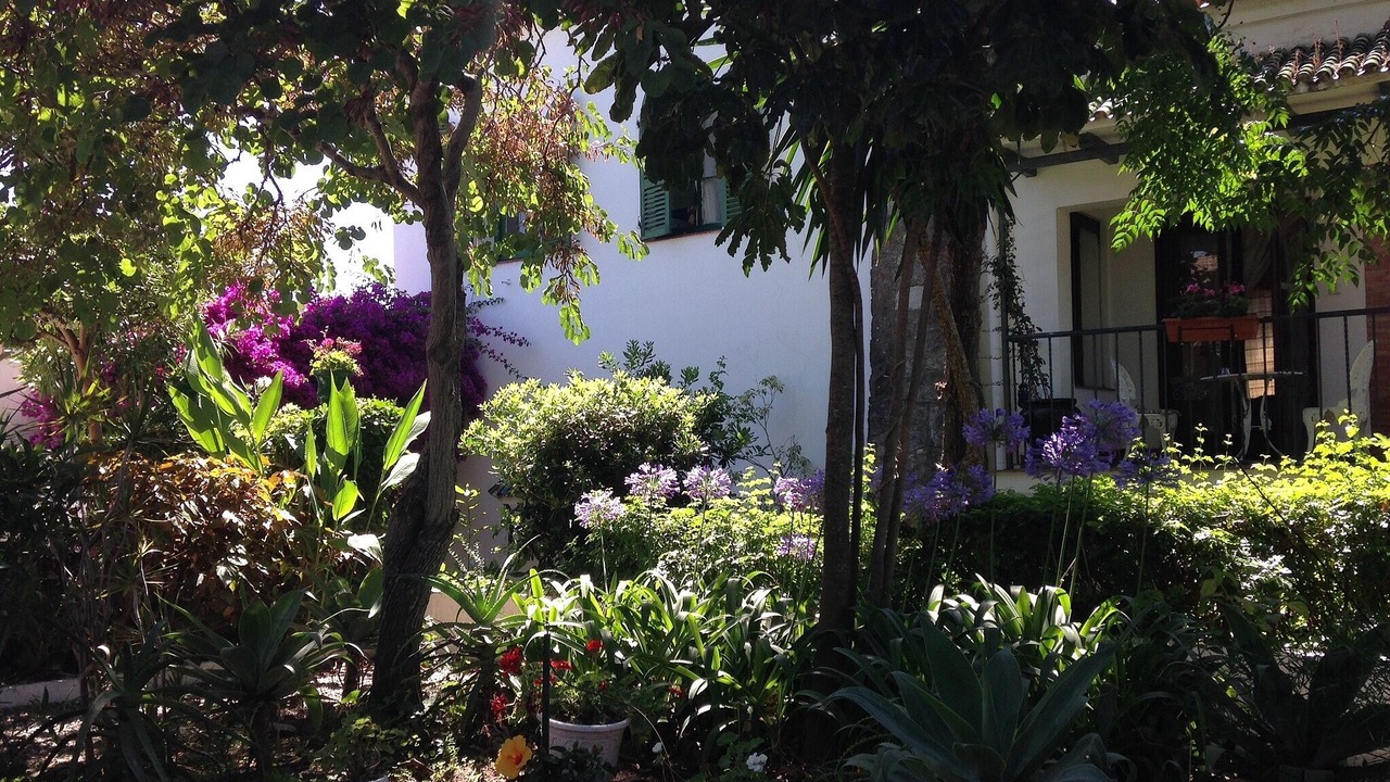 Photo of Patio Balcony in Cabrita