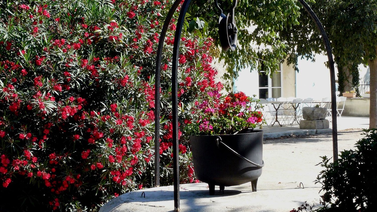 Photo of Outdoor in Arles