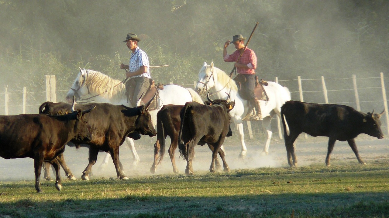Photo of Others in Arles