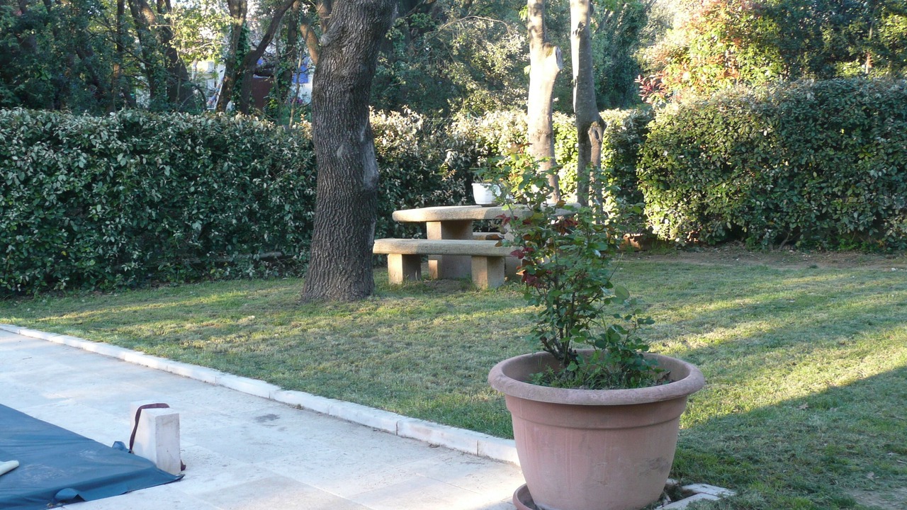 Photo of Outdoor in Collias