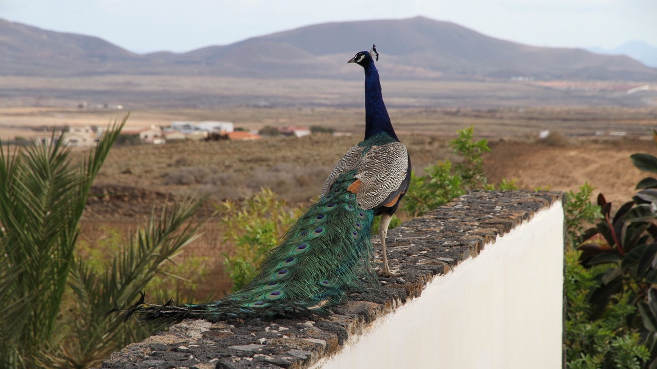 Photo of Outdoor in Villaverde
