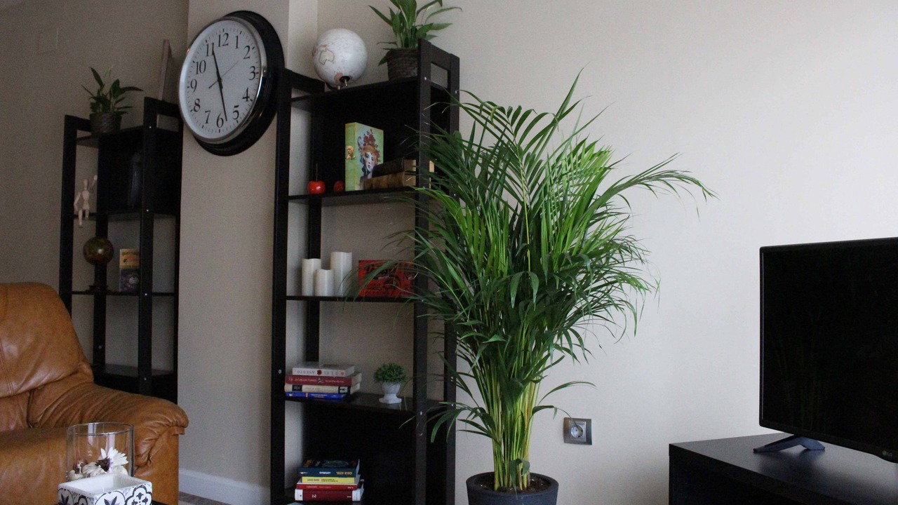 Photo of Livingroom in Avila