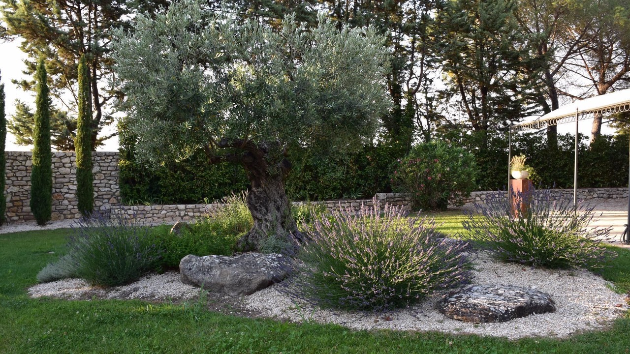 Photo of Outdoor in Saint-Chaptes
