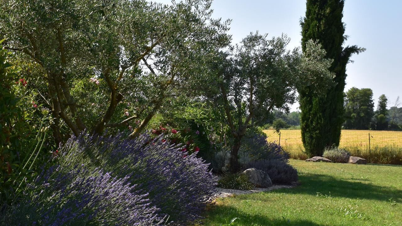 Photo of Outdoor in Saint-Chaptes