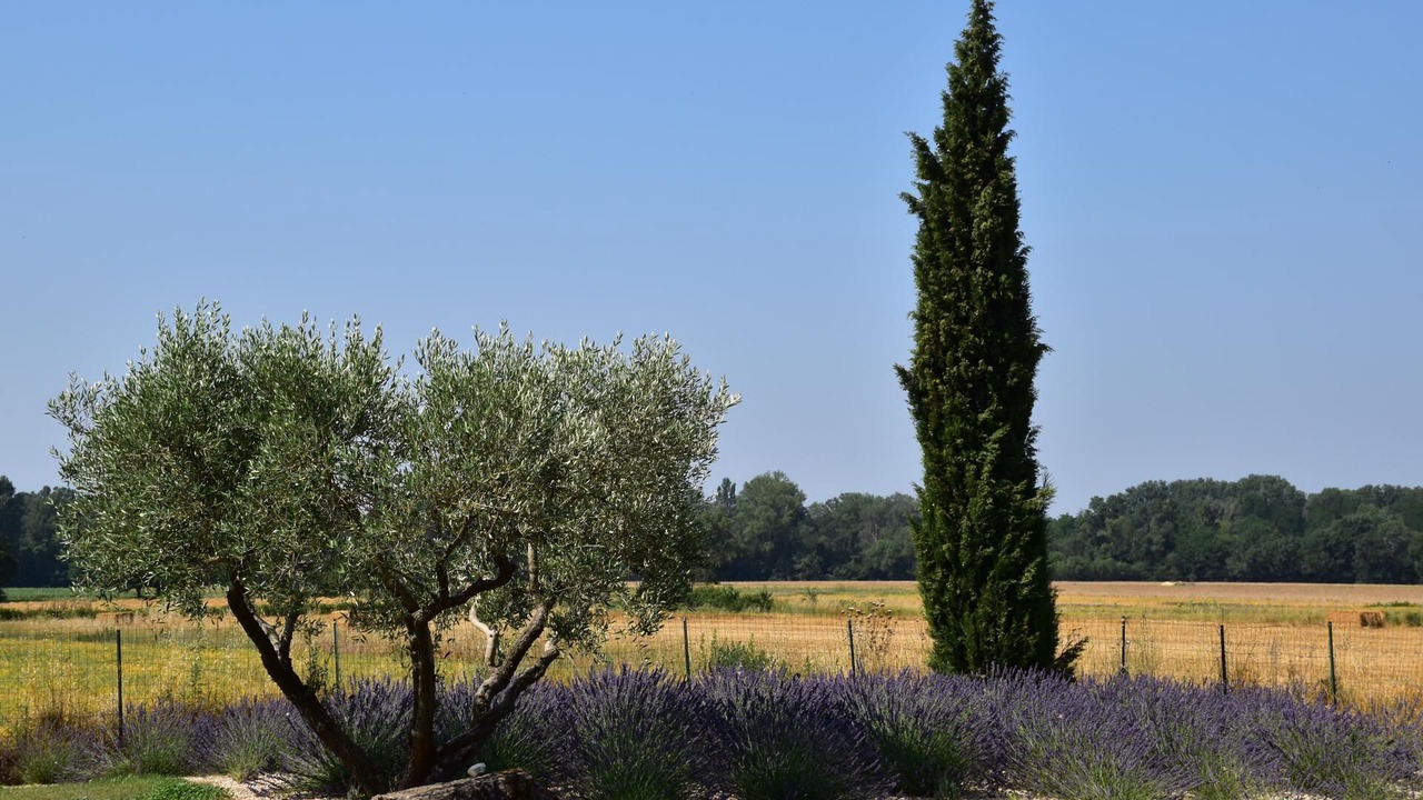 Photo of Outdoor in Saint-Chaptes