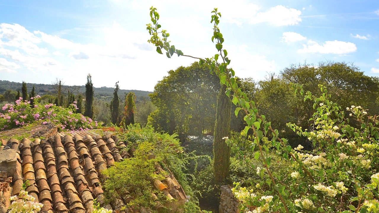 Photo of Outdoor in Majorca
