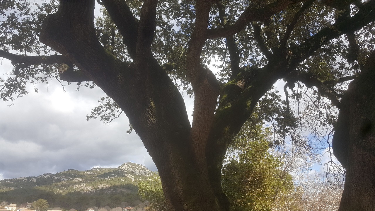 Photo of Outdoor in Eoures