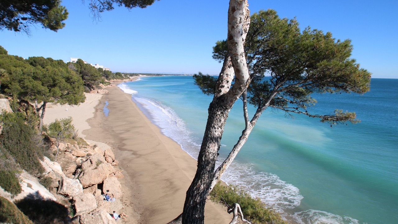 Photo of Others in Miami Platja