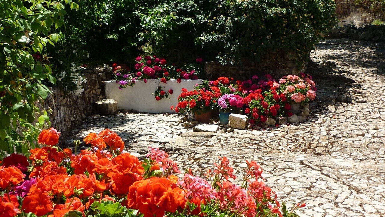 Photo of Outdoor in Iznajar