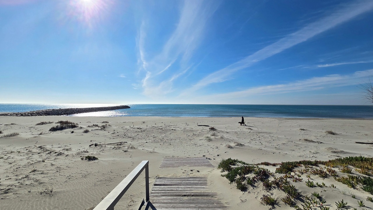 Photo of Others in Saintes-Maries-de-la-Mer