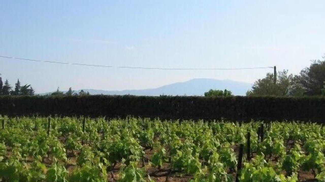 Photo of Outdoor in Carpentras