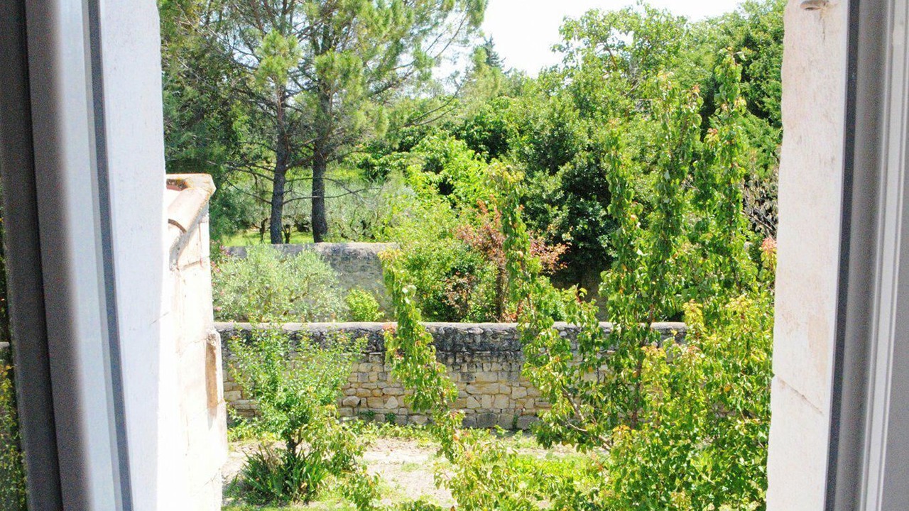 Photo of Others in Paradou