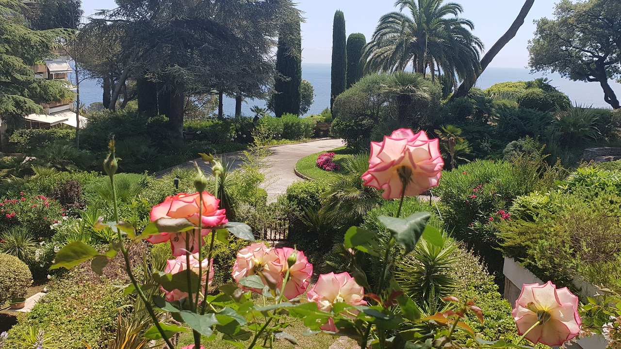 Photo of Outdoor in Le Mourillon