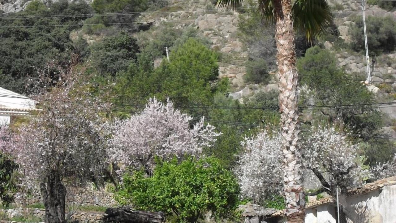 Photo of Outdoor in Jalon