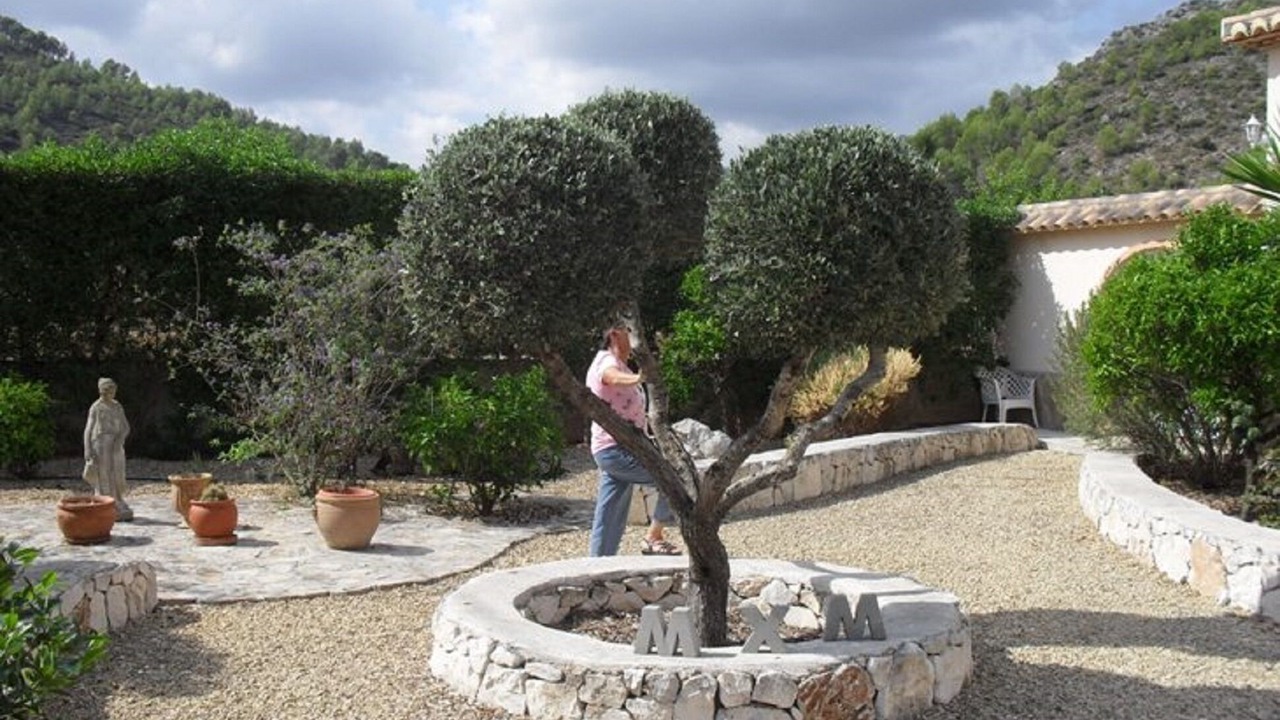 Photo of Outdoor in Jalon