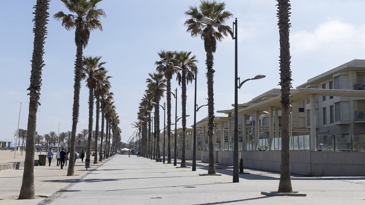 Photo of Others in Alboraya
