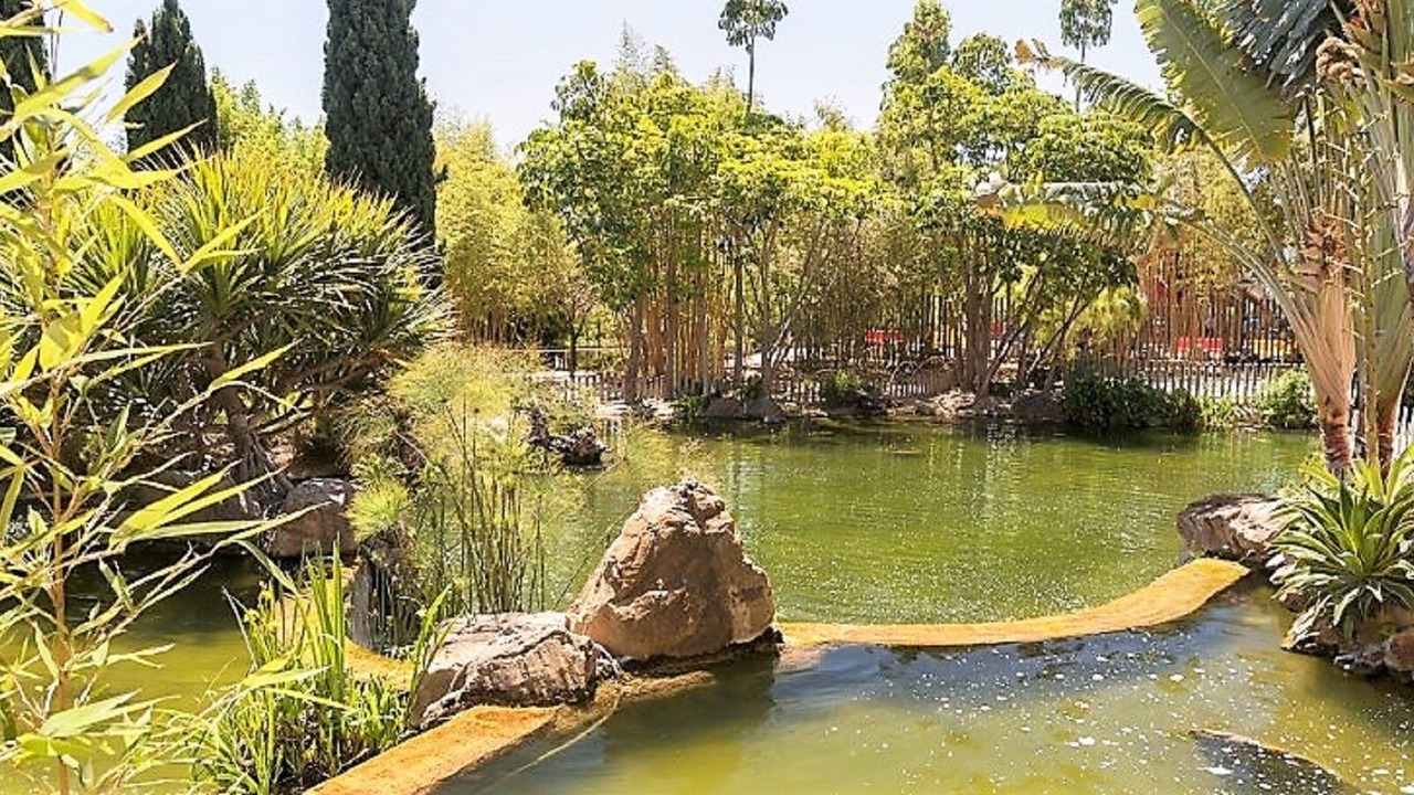 Photo of Outdoor in Benalmadena Costa