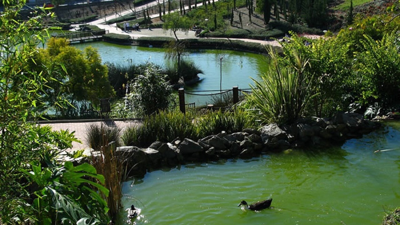 Photo of Outdoor in Benalmadena Costa
