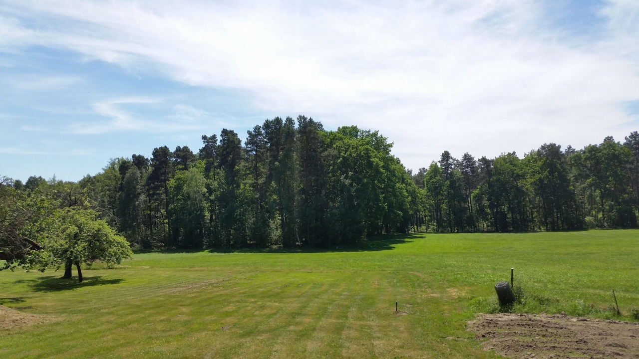 Photo of Others in Bad Schmiedeberg