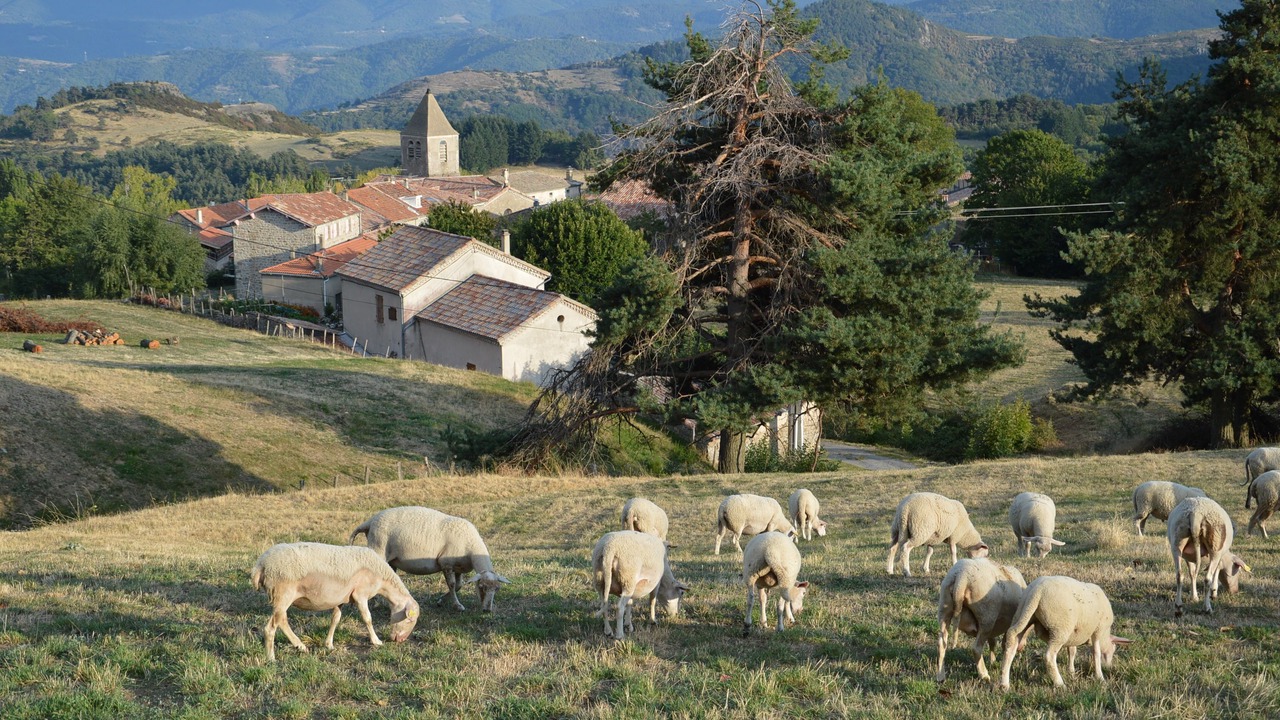 Photo of Outdoor in Gluiras