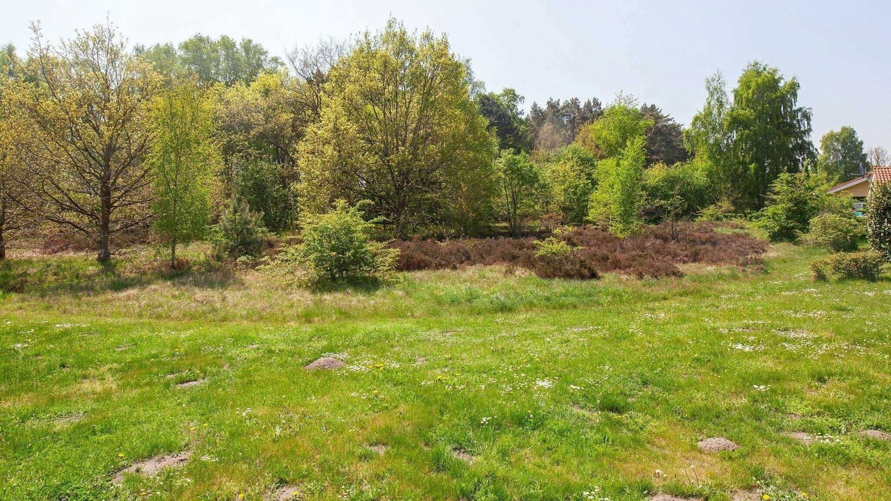 Photo of Others in Lensterstrand