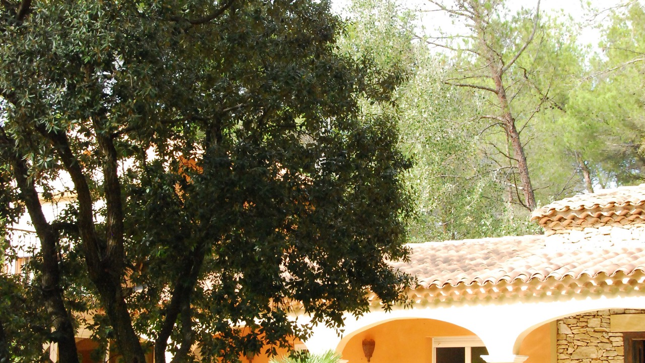 Photo of Outdoor in Tarascon