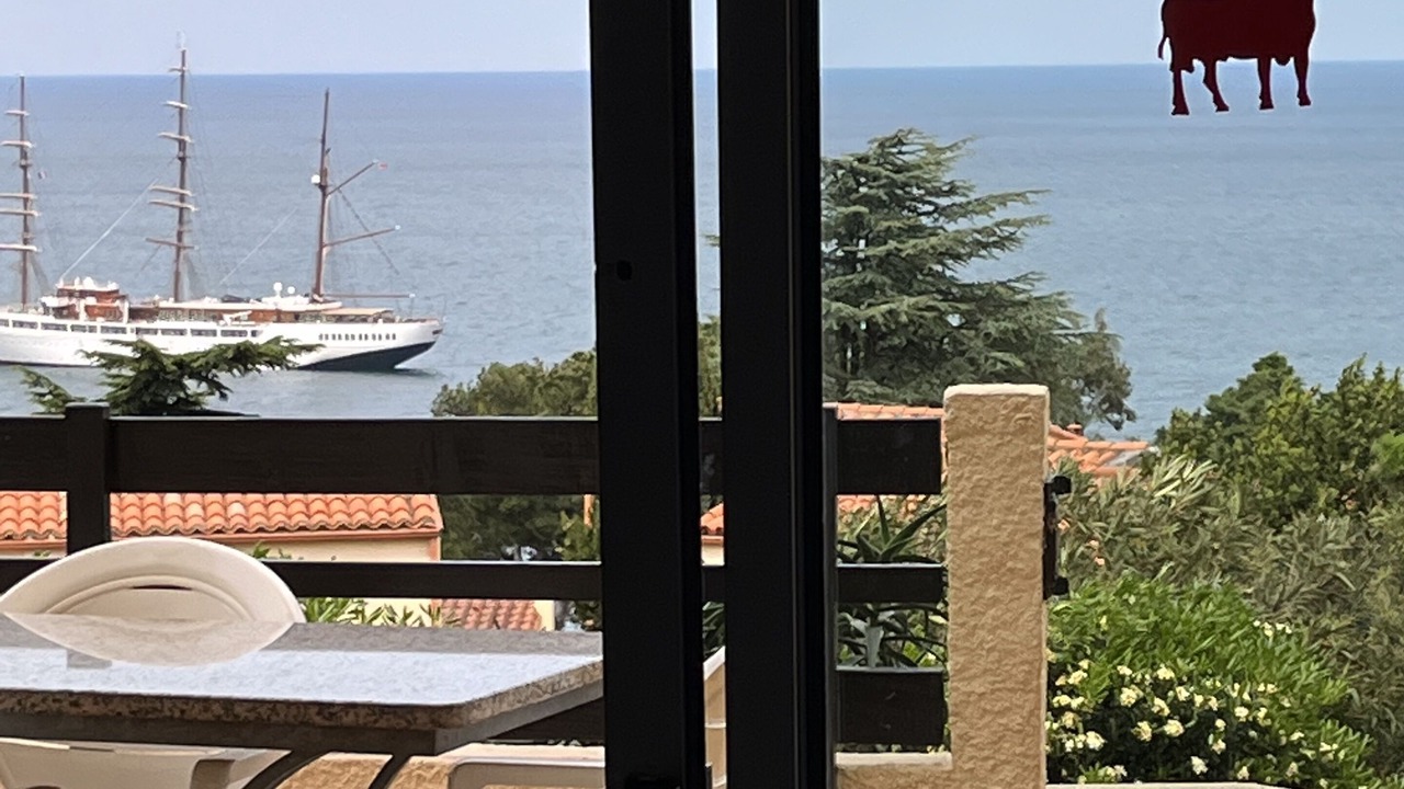 Photo of Others in Collioure