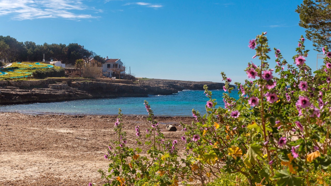 Photo of Others in Cala Blanca