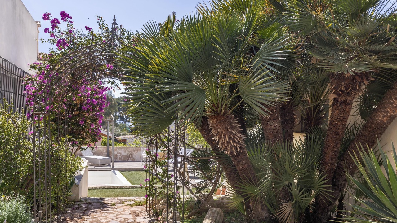 Photo of Outdoor in Calamayor