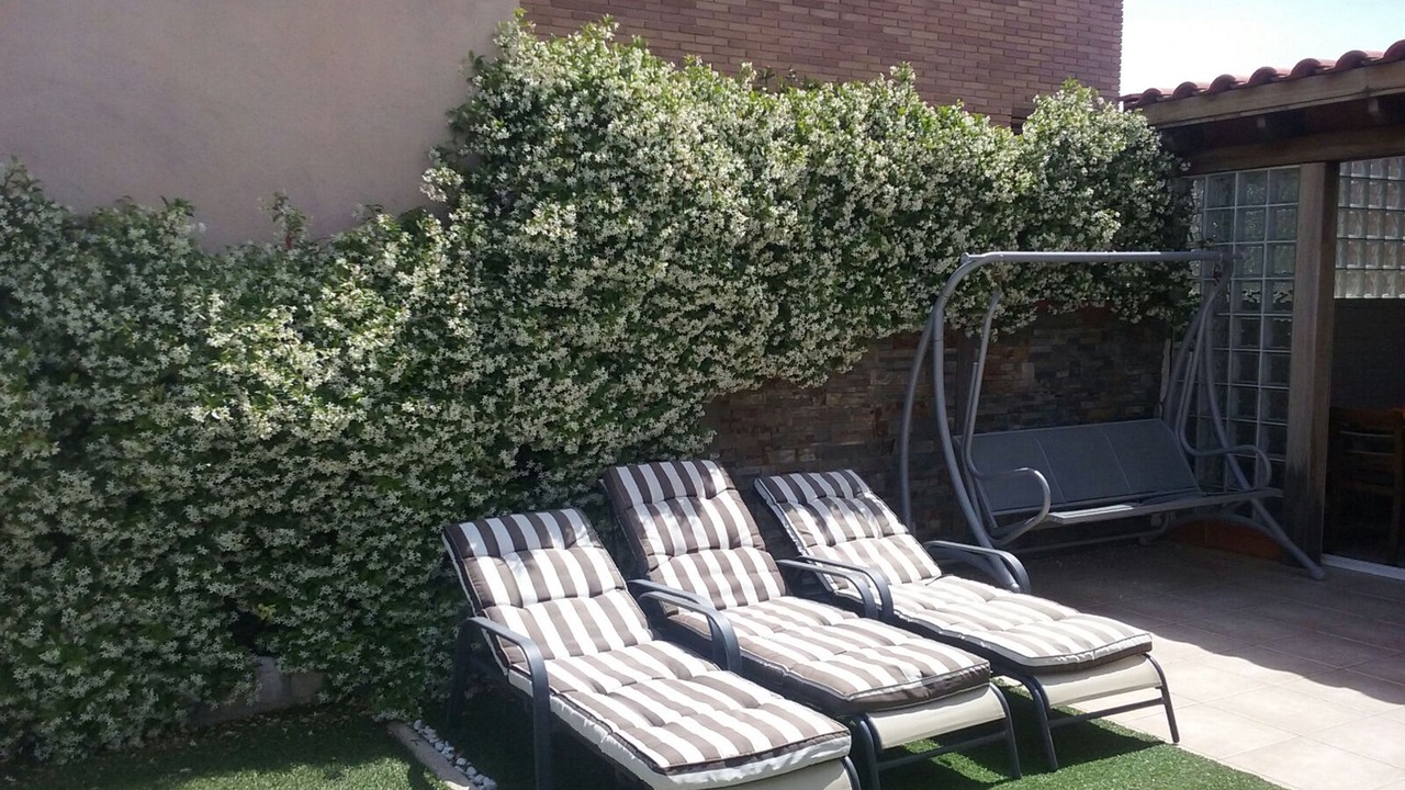 Photo of Patio Balcony in L'Hospitalet de l'Infant