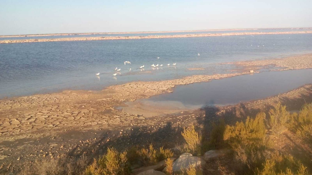 Photo of Others in Molino del Chirrete