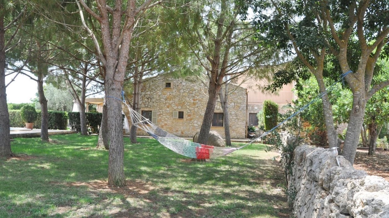 Photo of Outdoor in Felanitx