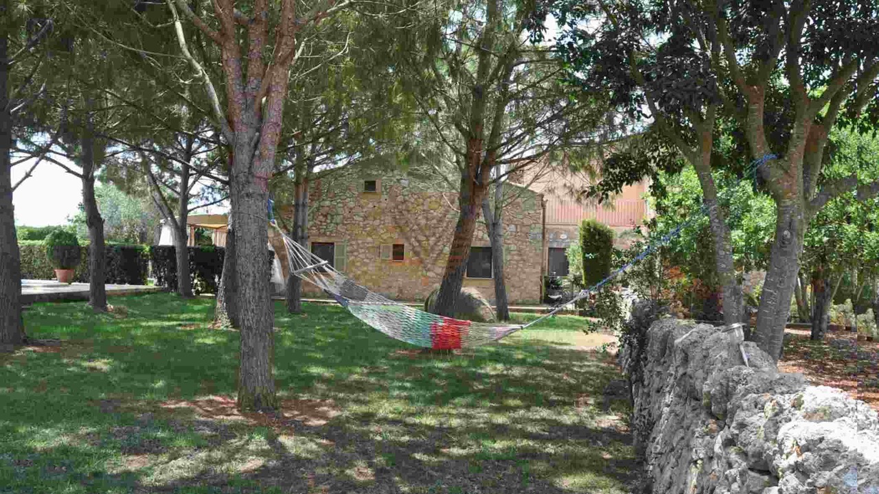 Photo of Outdoor in Felanitx