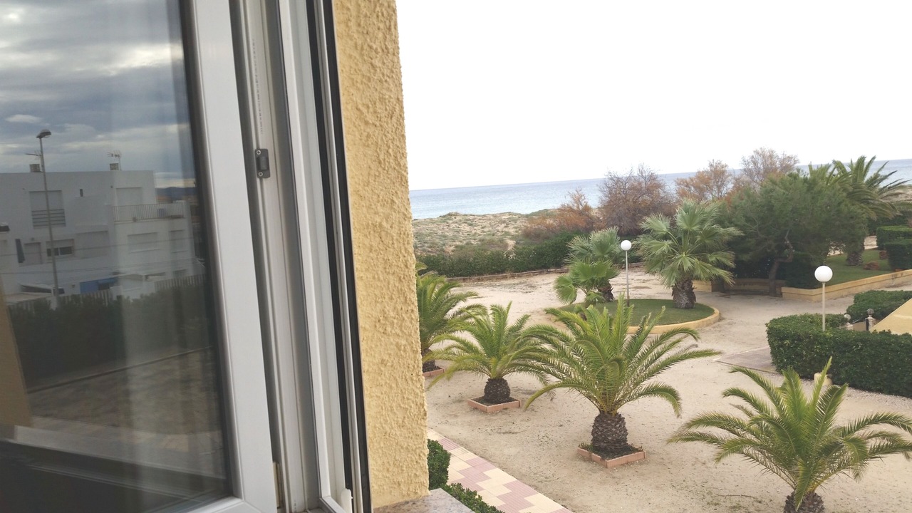 Photo of Others in Oliva