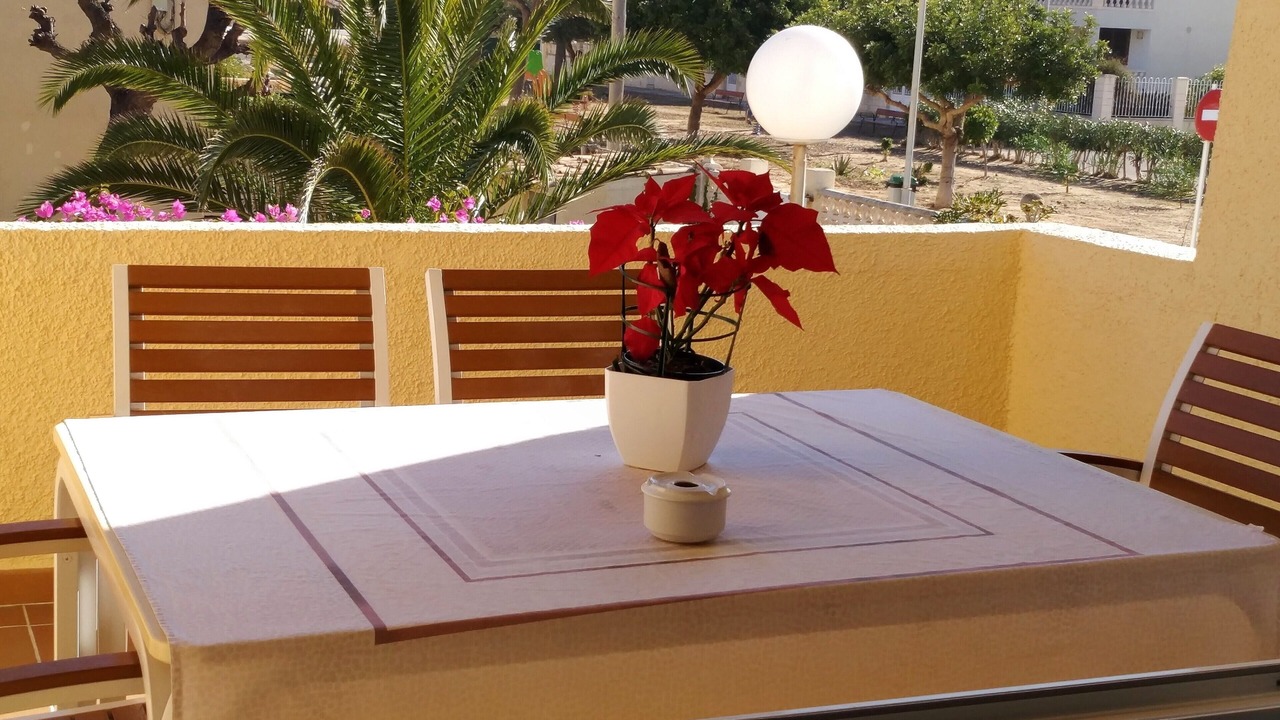 Photo of Outdoor in Oliva