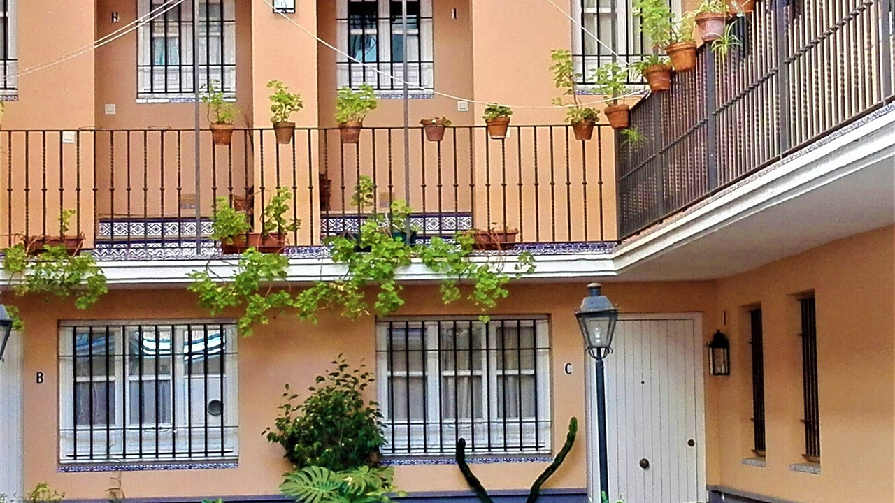 Photo of Outdoor in San Bernardo