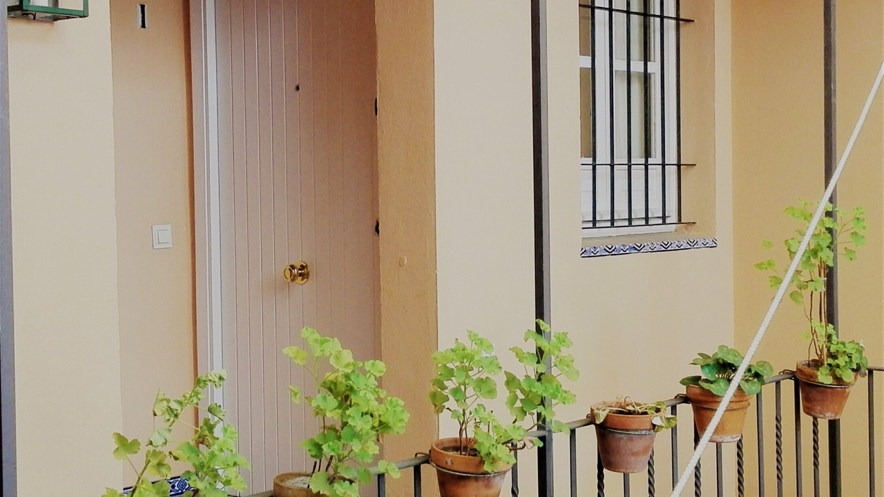 Photo of Outdoor in San Bernardo