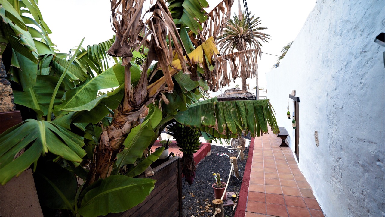 Photo of Outdoor in Macher