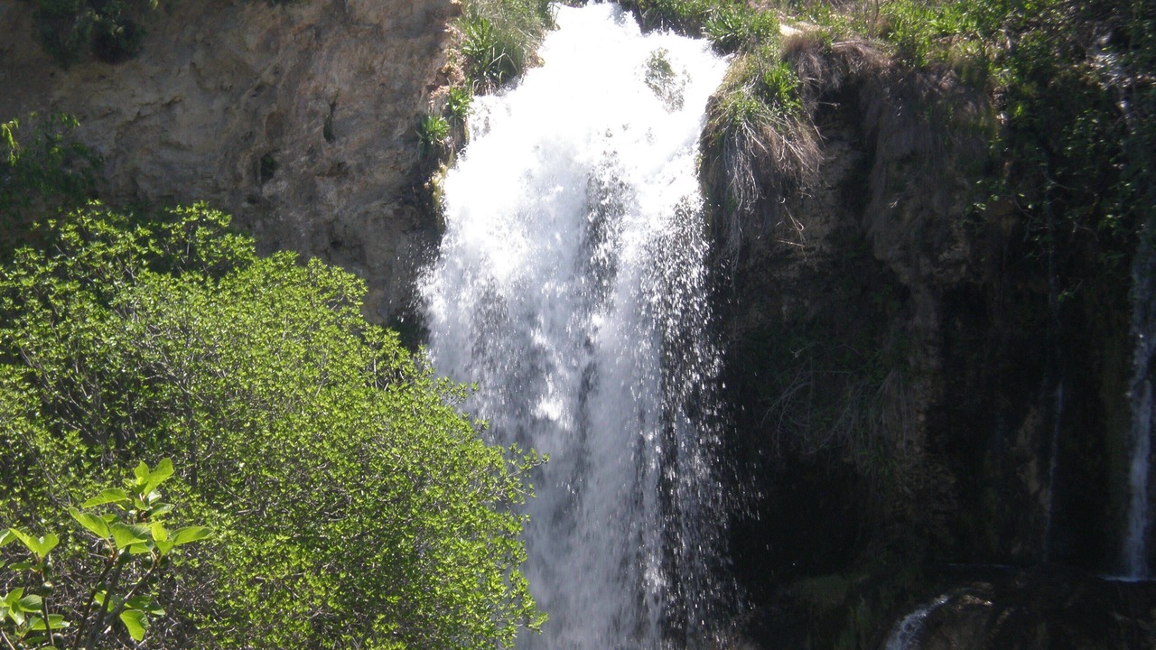 Photo of Outdoor in Membrilla